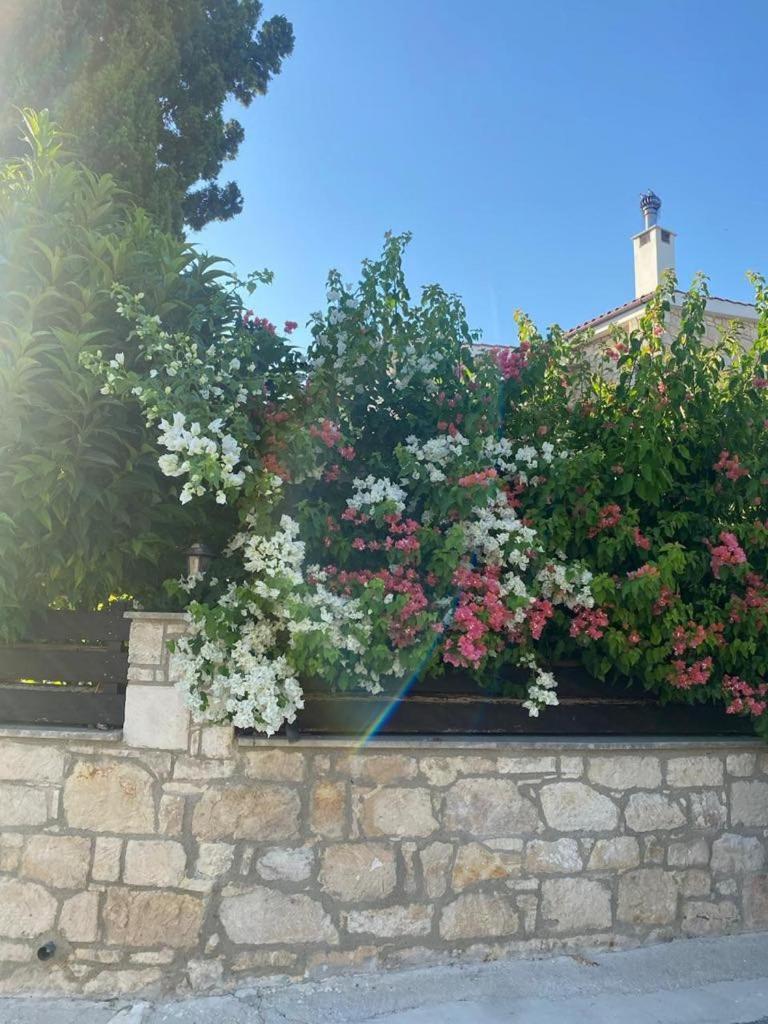 Almond Grove Villa Σίμου Εξωτερικό φωτογραφία