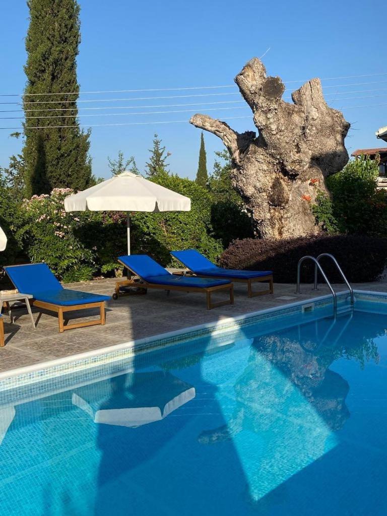 Almond Grove Villa Σίμου Εξωτερικό φωτογραφία
