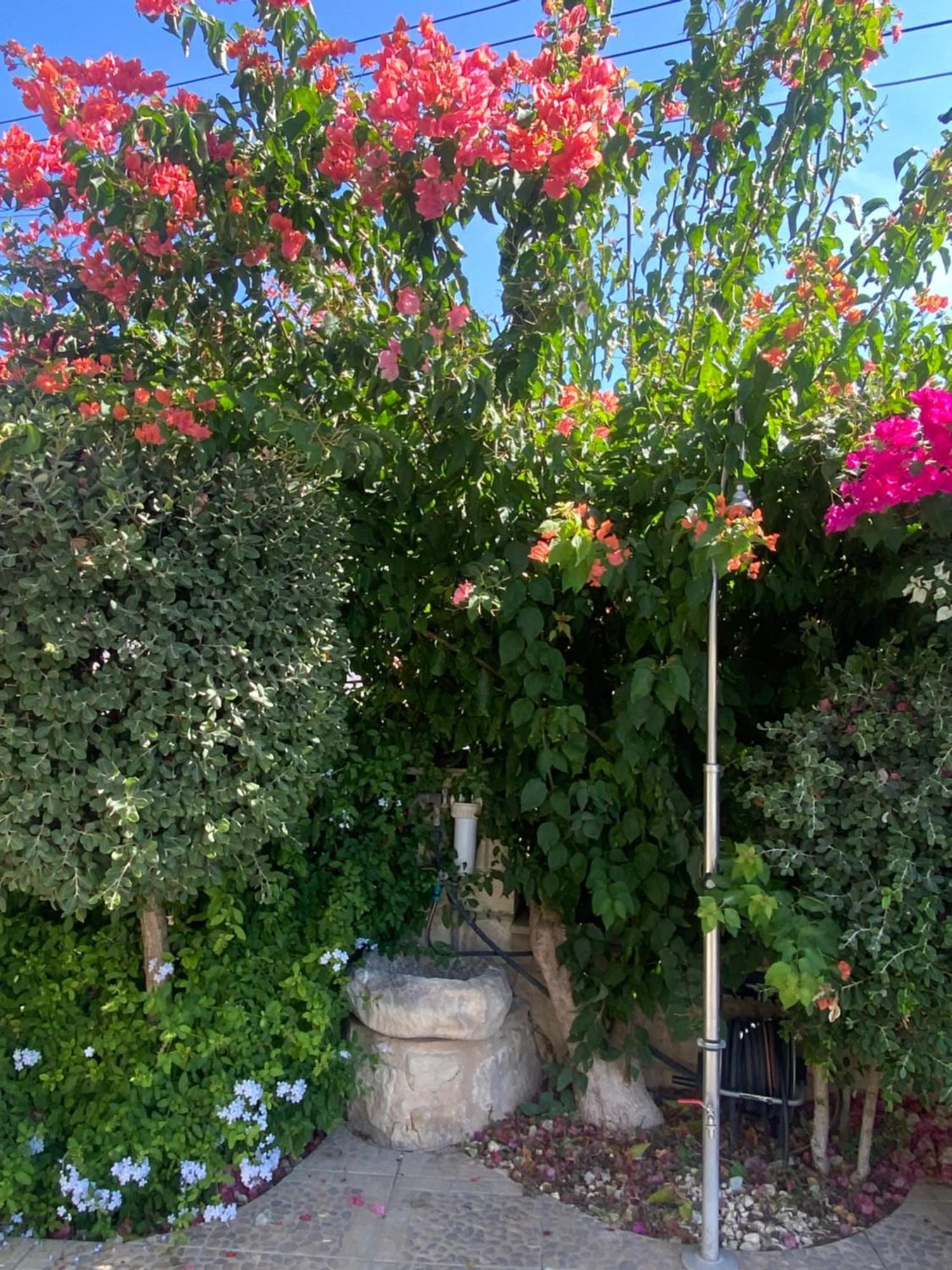 Almond Grove Villa Σίμου Εξωτερικό φωτογραφία